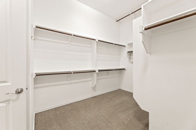 spacious closet with light colored carpet