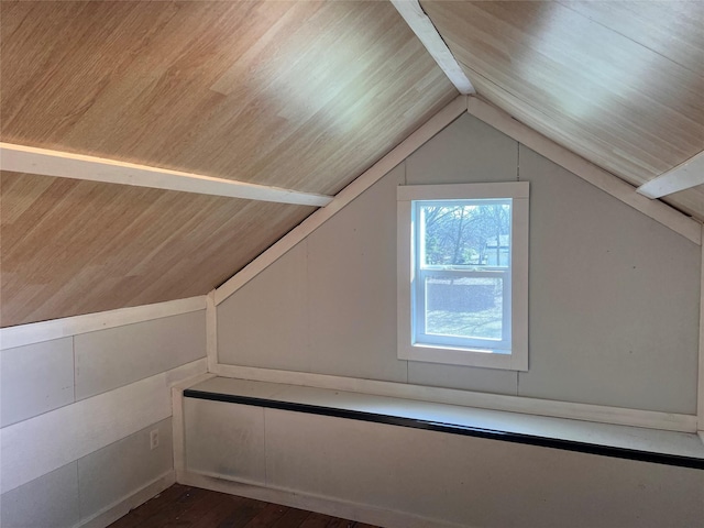 bonus room with lofted ceiling and hardwood / wood-style flooring