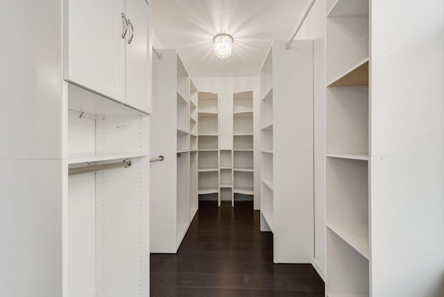 walk in closet with dark wood-type flooring