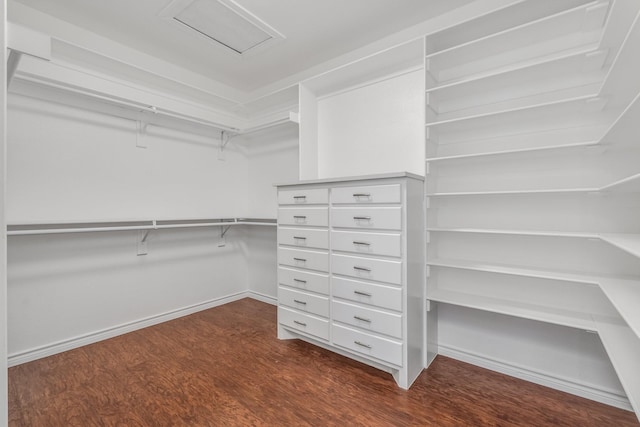 spacious closet with dark wood-type flooring