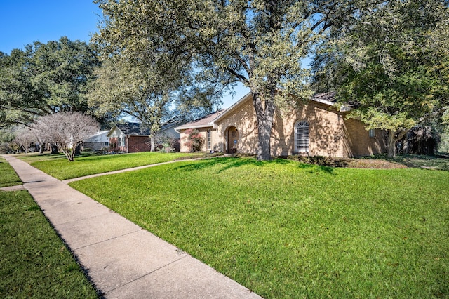 ranch-style home featuring a front lawn