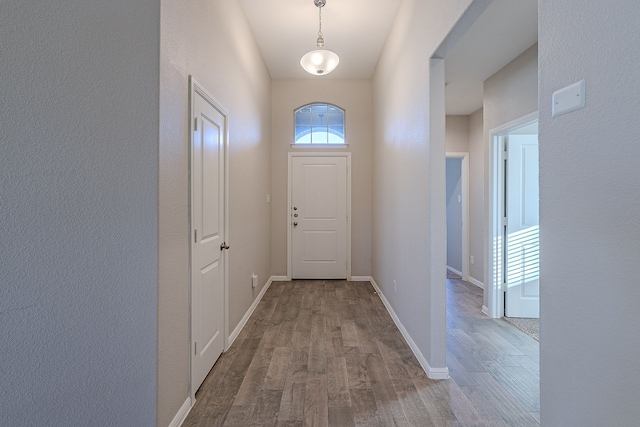 entryway featuring wood-type flooring