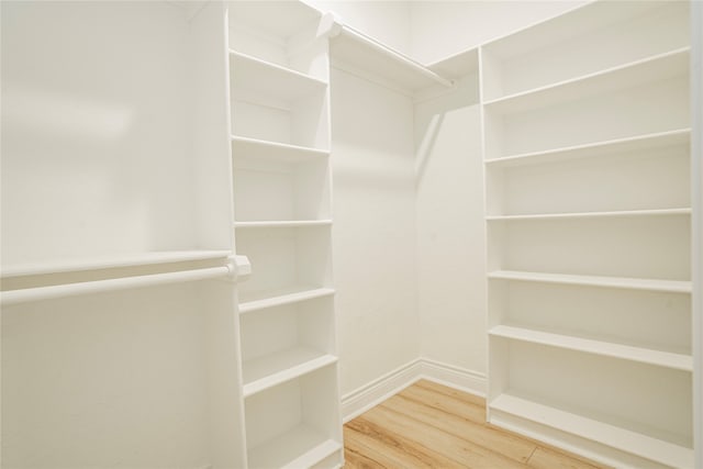 spacious closet with hardwood / wood-style floors