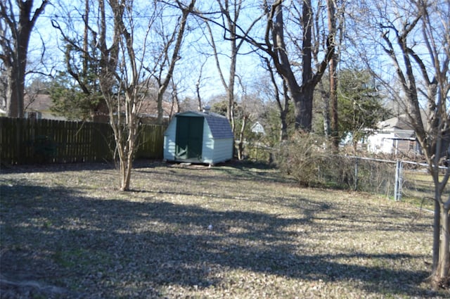 view of yard featuring a storage unit