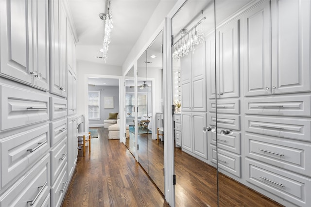 spacious closet with dark wood-type flooring