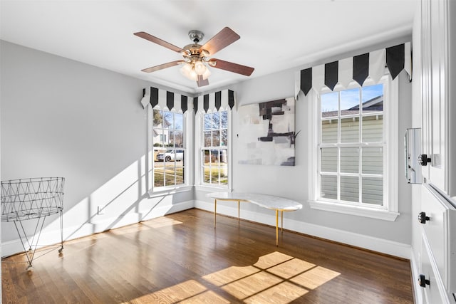 interior space featuring ceiling fan and dark hardwood / wood-style floors