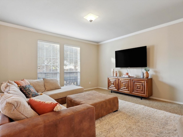 living room featuring light carpet and ornamental molding