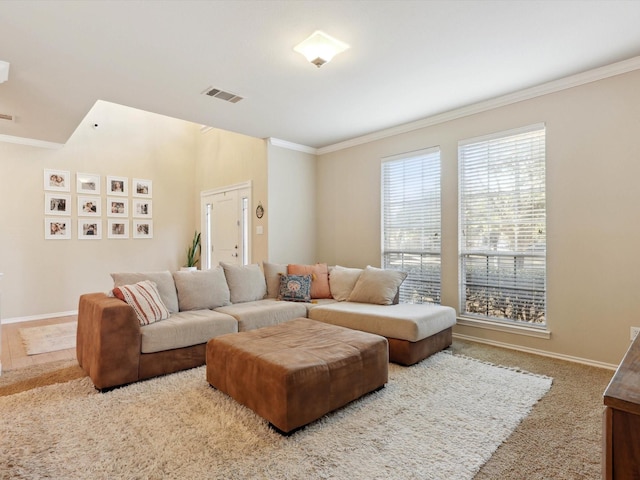 carpeted living room with crown molding