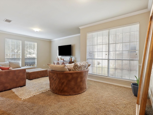 living room with crown molding and carpet floors