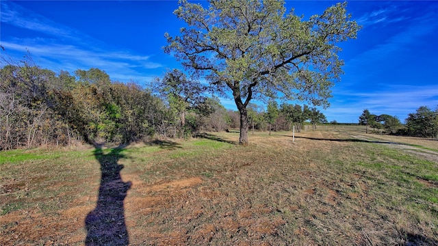 Listing photo 2 for TRACT6 Fm 1816, Bowie TX 76230