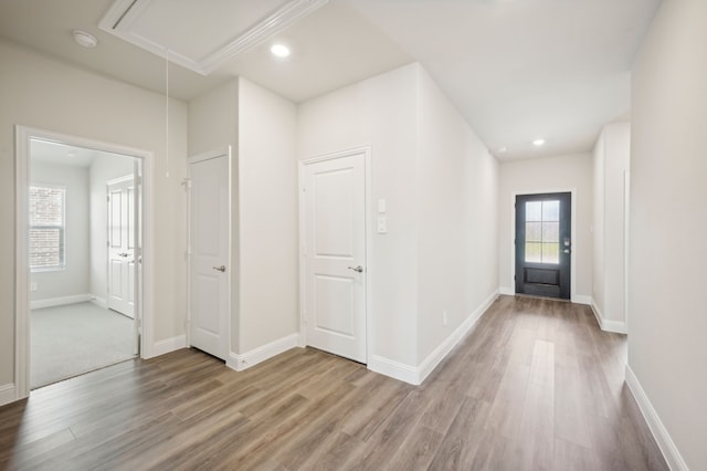 foyer with wood-type flooring