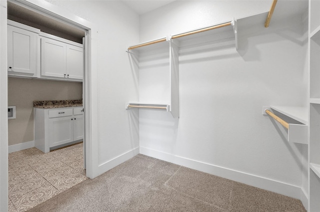 spacious closet with light carpet