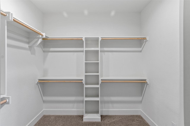spacious closet with carpet floors