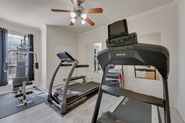 exercise room with hardwood / wood-style flooring, ceiling fan, and ornamental molding