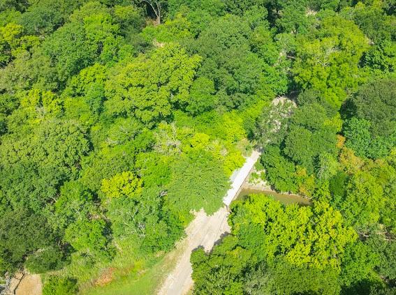 611 The Trails Dr, Blue Ridge, TX 75424 - birds eye view of property featuring a wooded view