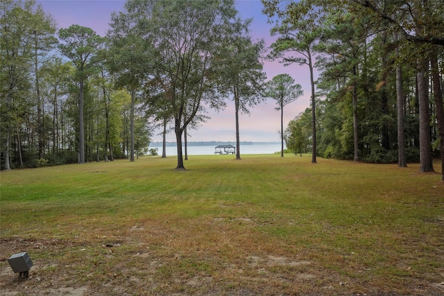 yard at dusk with a water view