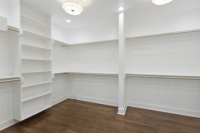 walk in closet with dark hardwood / wood-style flooring