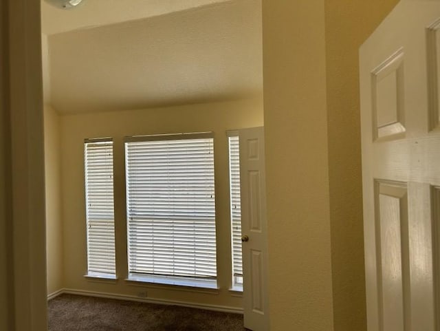 interior details with carpet flooring