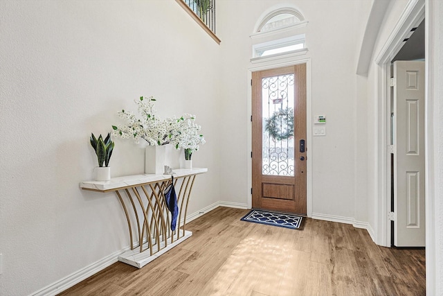 entrance foyer featuring hardwood / wood-style flooring