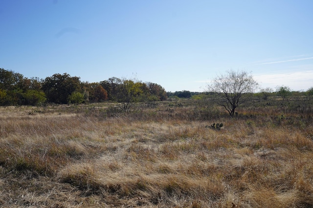 Listing photo 3 for TBD Highway 36, Comanche TX 76442