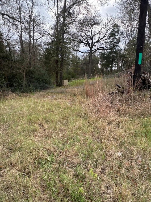 1113 Fm 27, Wortham TX, 76693 land for sale