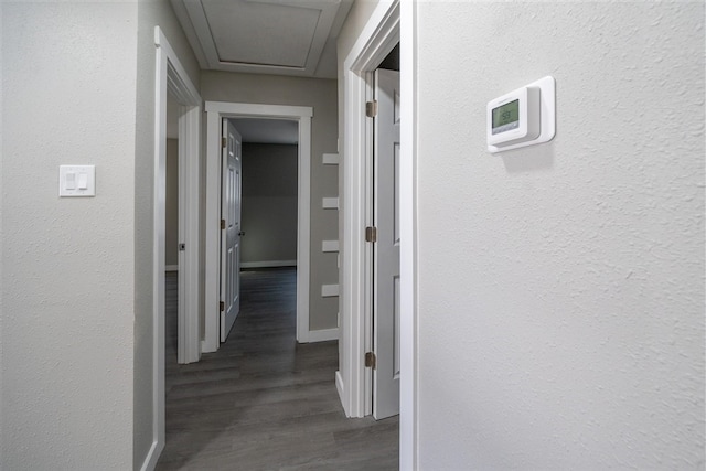 corridor with dark wood-type flooring