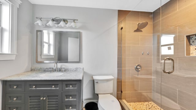 bathroom featuring vanity, toilet, a shower with door, and a healthy amount of sunlight