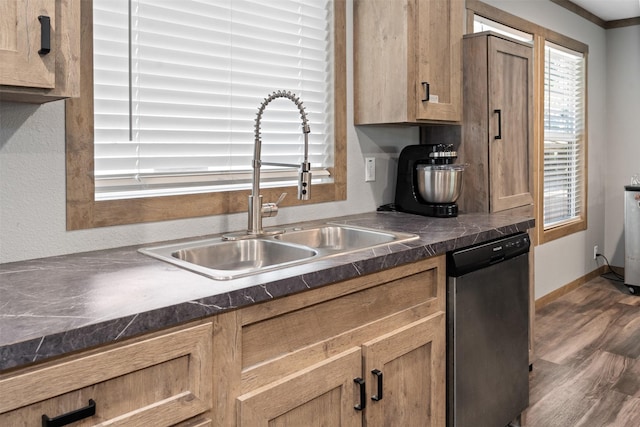 kitchen featuring dishwasher, sink, and dark wood-type flooring