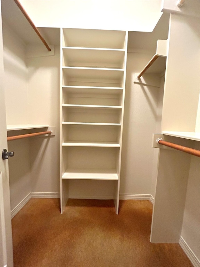 spacious closet with carpet flooring