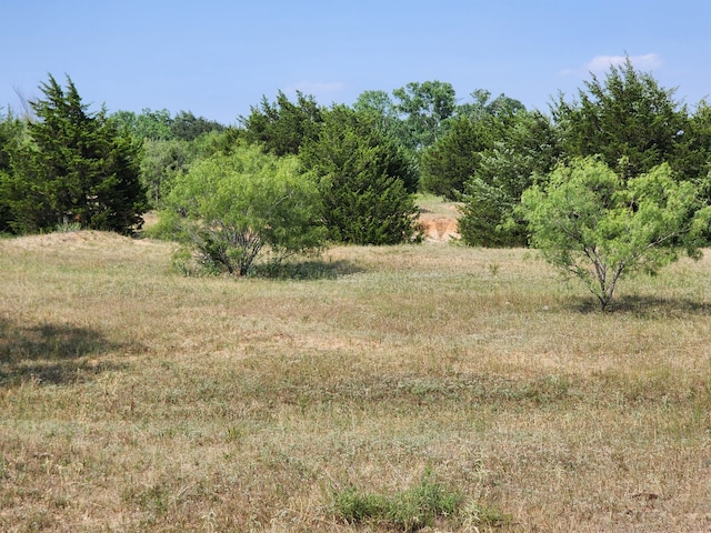 Listing photo 3 for 000 County Road 1270, Alvord TX 76225