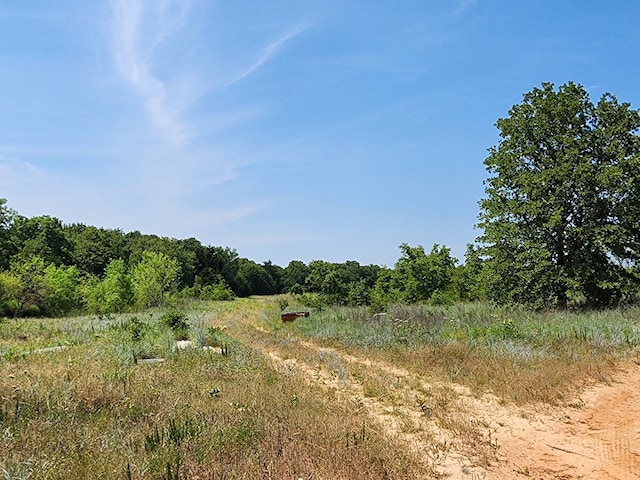 Listing photo 2 for 301 Timber Trl, Alvord TX 76225