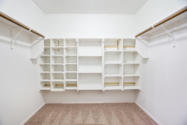 spacious closet featuring light colored carpet