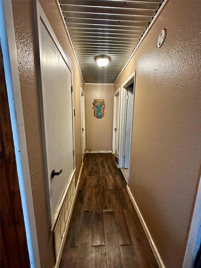 corridor featuring dark hardwood / wood-style flooring