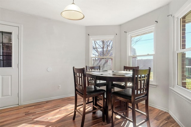 dining room featuring hardwood / wood-style floors