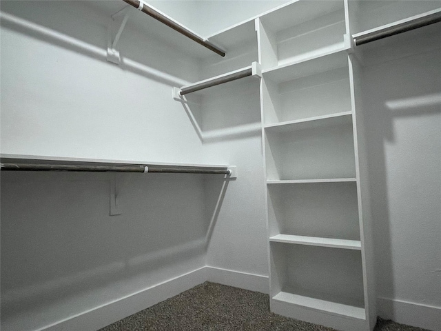 walk in closet featuring dark colored carpet