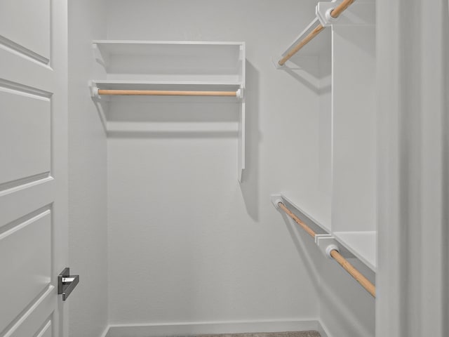 view of walk in closet