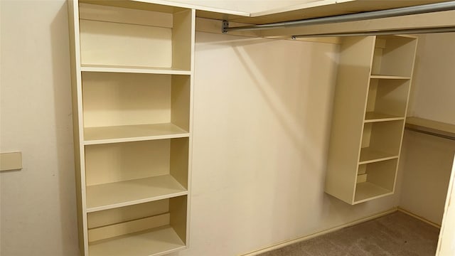 walk in closet with carpet