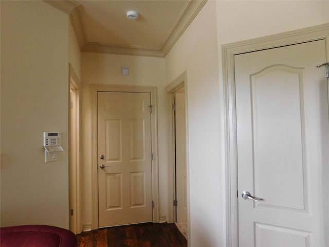 corridor featuring dark wood-type flooring and crown molding