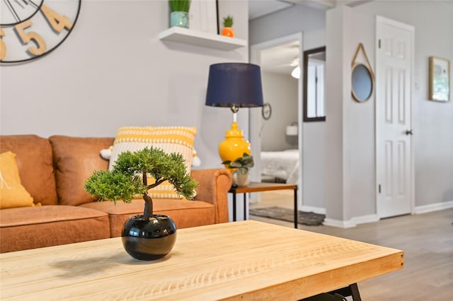 living room featuring hardwood / wood-style flooring