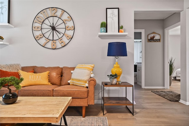 living room with wood-type flooring