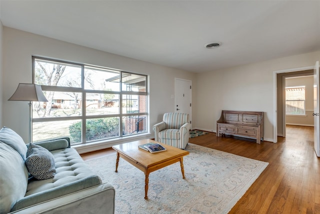 living room featuring wood-type flooring and plenty of natural light