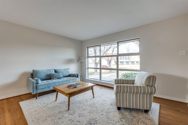 living room with hardwood / wood-style flooring