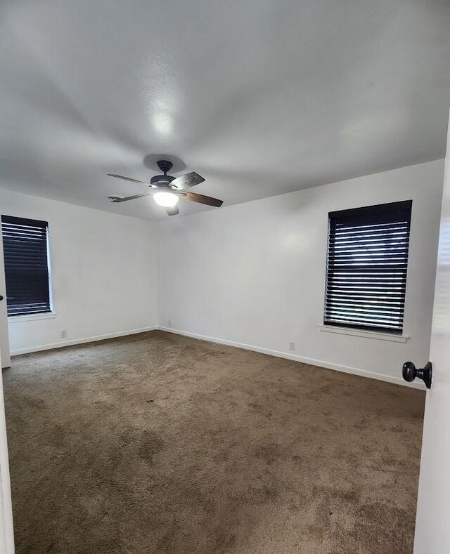 spacious closet featuring carpet