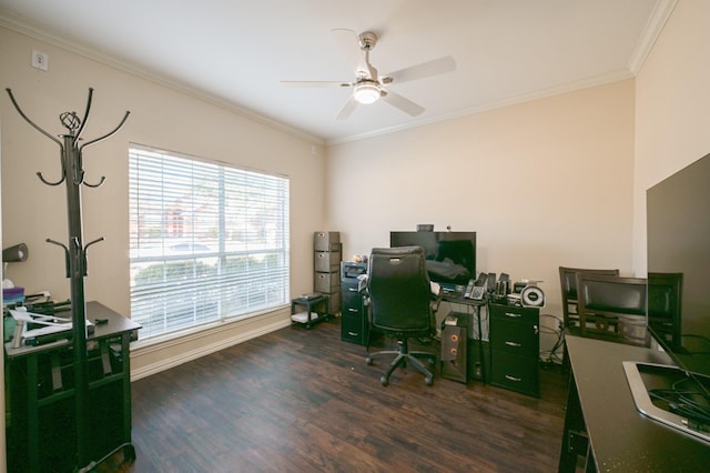 office featuring ornamental molding, ceiling fan, and dark wood-type flooring