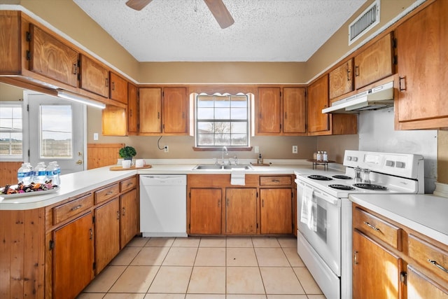 kitchen featuring white appliances, a textured ceiling, a wealth of natural light, and sink