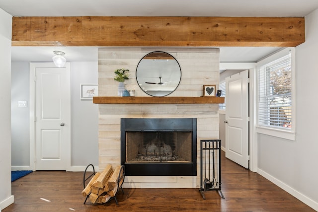 room details with a fireplace and hardwood / wood-style floors