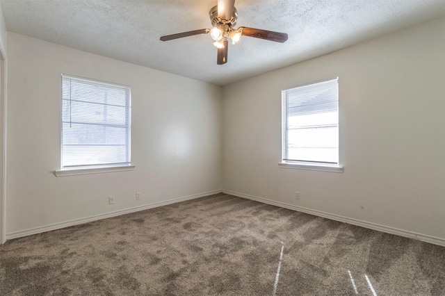 carpeted spare room featuring plenty of natural light and a textured ceiling