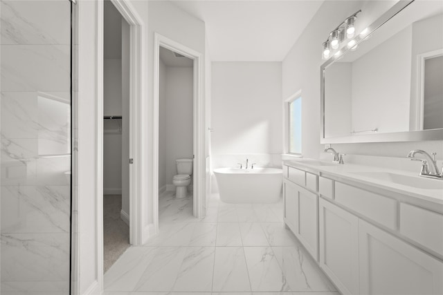 bathroom featuring toilet, vanity, and a bathing tub