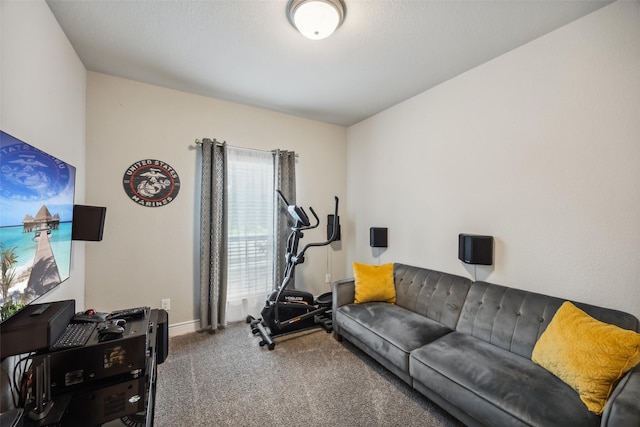 workout area featuring carpet flooring