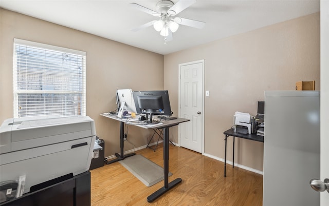 office space with ceiling fan and light hardwood / wood-style flooring